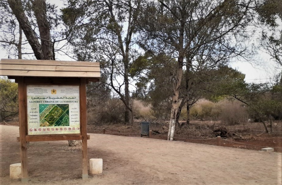 غابة الهرهورة رئة العاصمة التي تنوء بالمشاكل غابة الهرهورة رئة العاصمة التي تنوء بالمشاكل