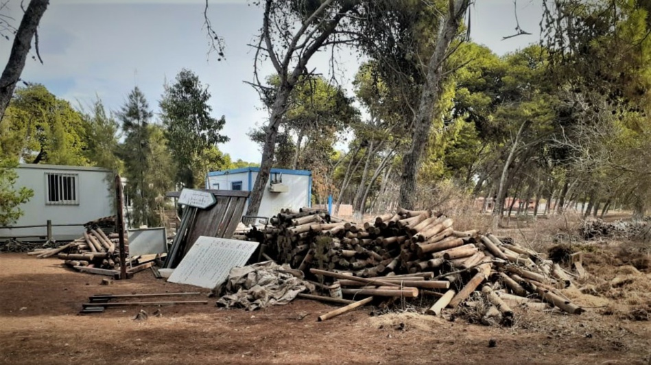 غابة الهرهورة رئة العاصمة التي تنوء بالمشاكل غابة الهرهورة رئة العاصمة التي تنوء بالمشاكل