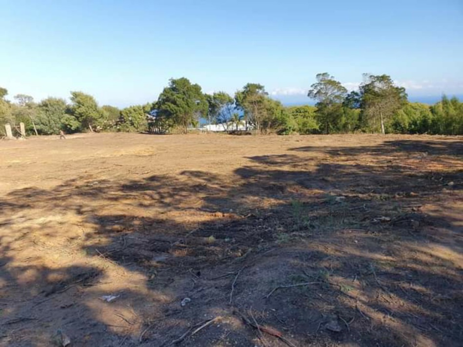 الزحف العمراني يغزو غابات الرميلات الزحف العمراني يغزو غابات الرميلات