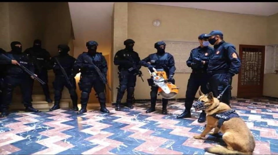 المغرب يُفَكِّك خلية إرهابية مُوَالِية لـ«داعش» بتطوان المغرب يُفَكِّك خلية إرهابية مُوَالِية لـ«داعش» بتطوان