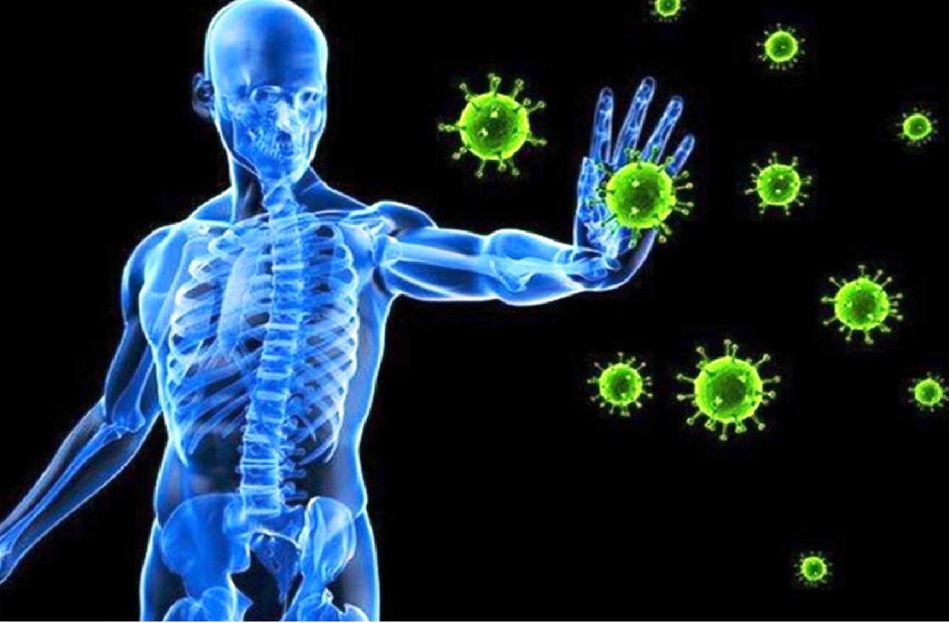 تحذير.. ظهور سلالات جديدة من فيروس كورونا سيستمر تحذير.. ظهور سلالات جديدة من فيروس كورونا سيستمر