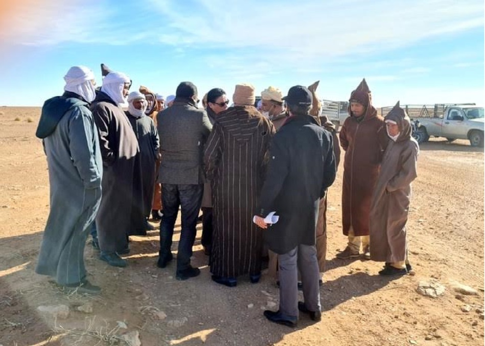 كساب باع شاة ب 30 درهم و رؤوس أخرى تحتضر بالانعاش.‼ كساب باع شاة ب 30 درهم و رؤوس أخرى تحتضر بالانعاش.‼