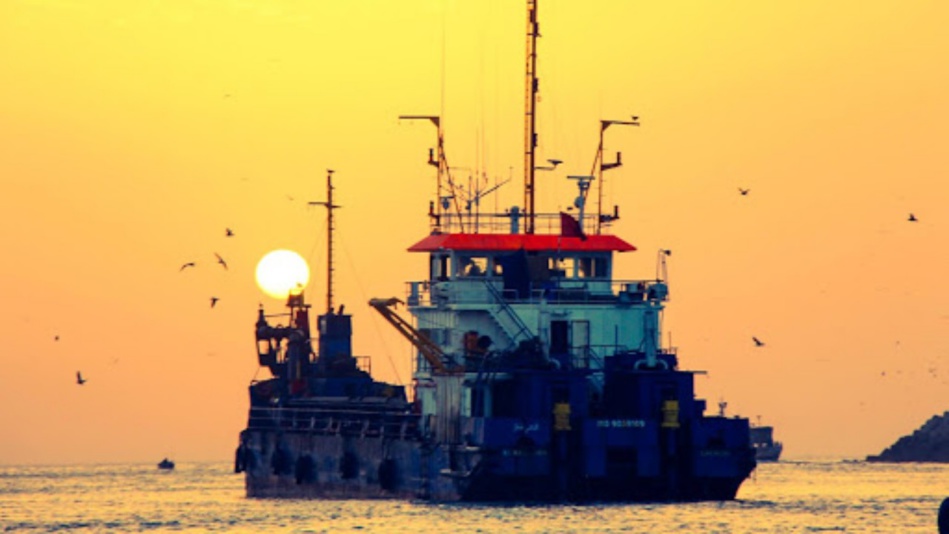 أحكام نهائية في ملف ما يعرف بجاخوخ وشركة الرمال أحكام نهائية في ملف ما يعرف بجاخوخ وشركة الرمال