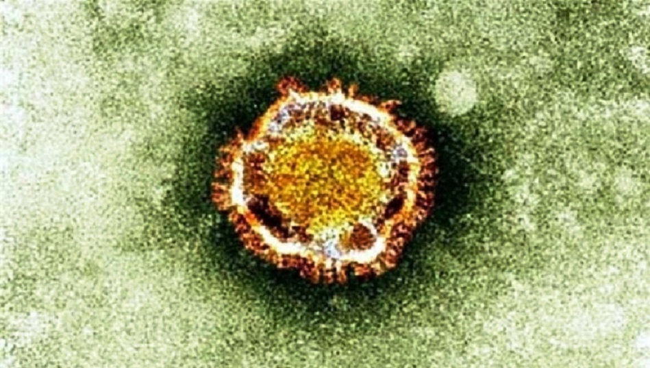 «نيباه».. فيروس جديد فتاك أخطر من كورونا