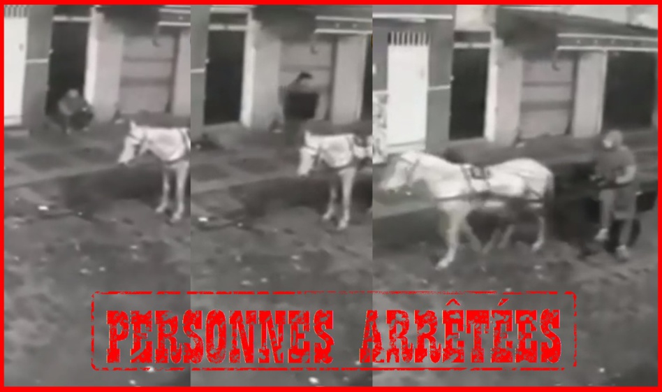 توضيح لولاية الأمن حول فيديو متداول لشخص يسرق غطاء الصرف الصحي بالقنيطرة توضيح لولاية الأمن حول فيديو متداول لشخص يسرق غطاء الصرف الصحي بالقنيطرة