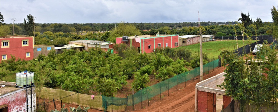 سلاليو "الحنشة" ببوقنادل يستنجدون بجلالة الملك بعد تهديدهم بالإفراغ من أرض الآباء و الأجداد سلاليو "الحنشة" ببوقنادل يستنجدون بجلالة الملك بعد تهديدهم بالإفراغ من أرض الآباء و الأجداد