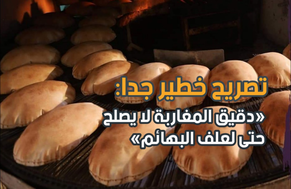 تصريح خطير جدا: «دقيق المغاربة لا يصلح حتى لعلف البهائم» تصريح خطير جدا: «دقيق المغاربة لا يصلح حتى لعلف البهائم»
