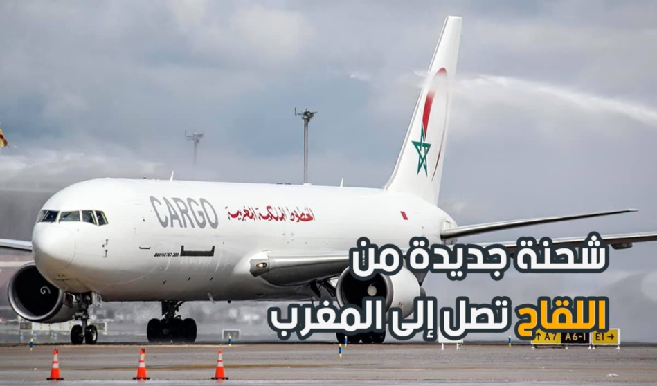 المغرب يستلم شحنة جديدة من لقاح سينوفارم الصيني المغرب يستلم شحنة جديدة من لقاح سينوفارم الصيني