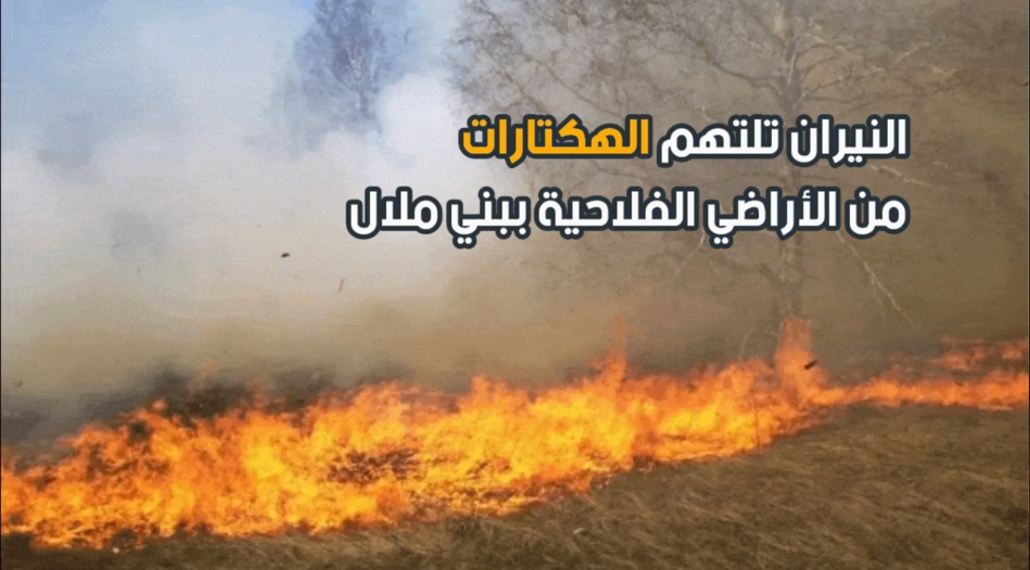 النيران تلتهم الهكتارات من الأراضي الفلاحية ببني ملال النيران تلتهم الهكتارات من الأراضي الفلاحية ببني ملال