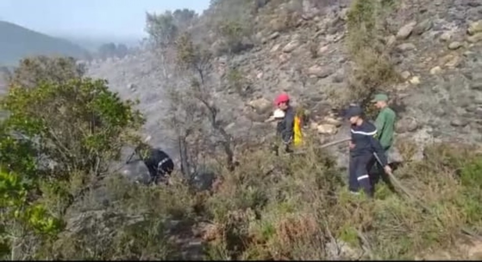 بالصور.. حريق غابة بوهاشم يعود من جديد والسلطات تستنفر