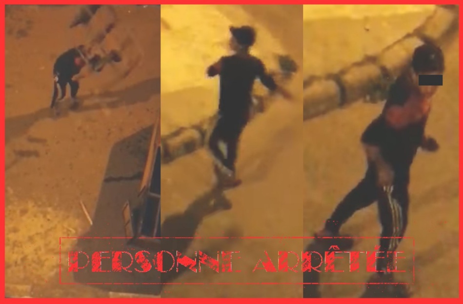 شرطة آسفي تتفاعل بسرعة مع مقطع فيديو يوثق شخصا يلحق أضرارا بممتلكات الغير شرطة آسفي تتفاعل بسرعة مع مقطع فيديو يوثق شخصا يلحق أضرارا بممتلكات الغير