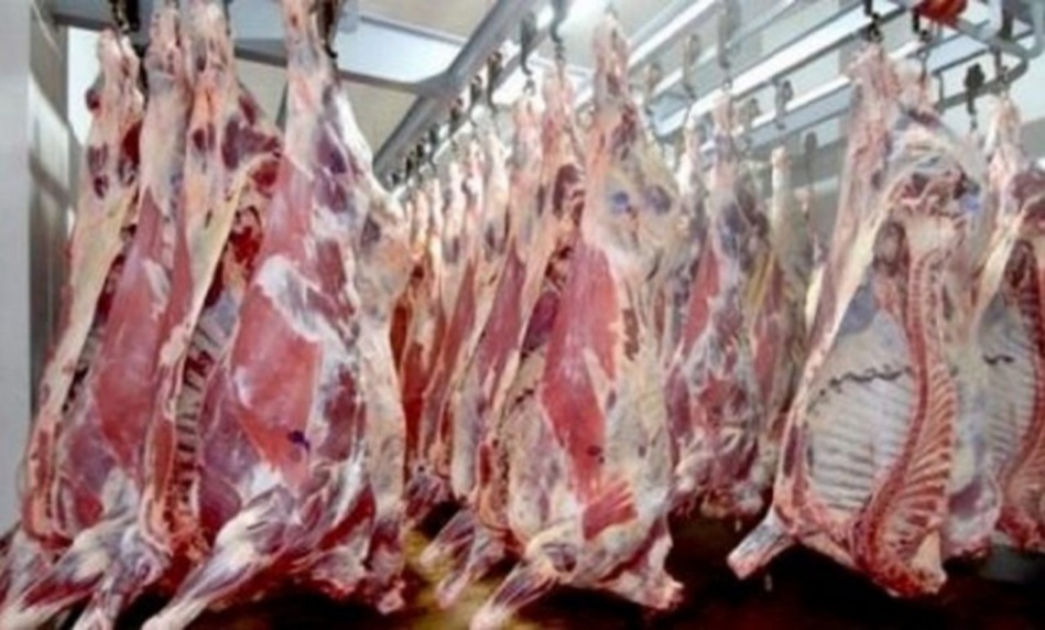 تقرير.. سطات تنتج حوالي 20 ألف طن من اللحوم الحمراء سنويا