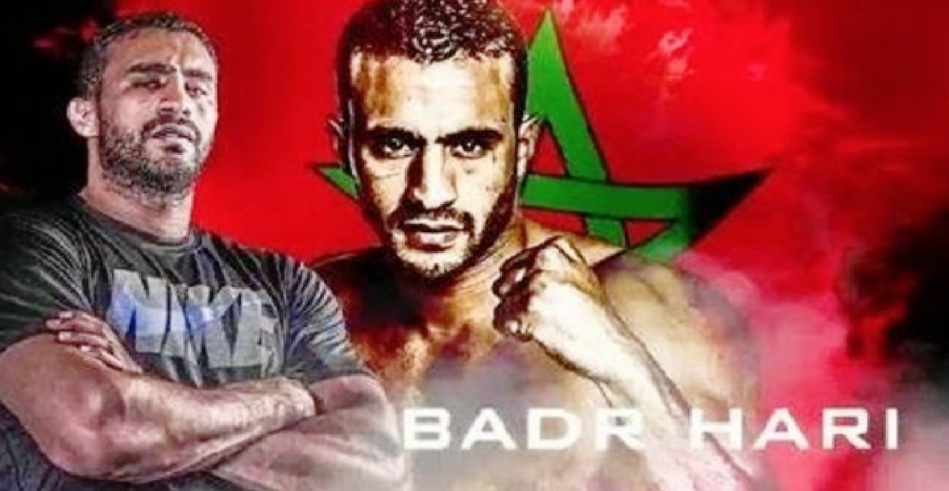 يدر هاري يعود إلى حلبة النزال من جديد يدر هاري يعود إلى حلبة النزال من جديد