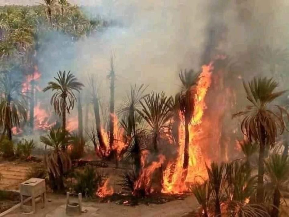 المغرب يواجه تهديدات حقيقية جراء التغير المناخي وارتفاع الحرارة المغرب يواجه تهديدات حقيقية جراء التغير المناخي وارتفاع الحرارة