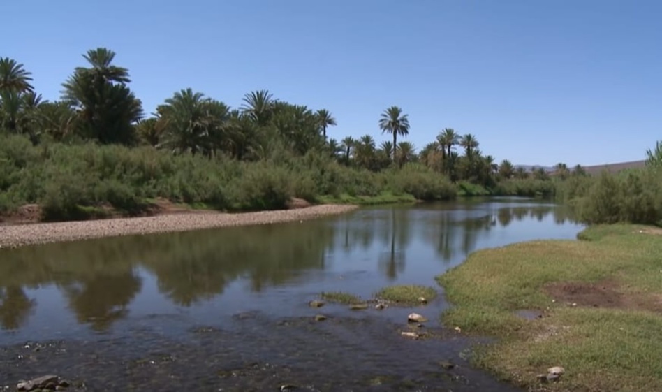 واحات زاكورة كنز طبيعي مهدد بالزوال فأين الحل؟ واحات زاكورة كنز طبيعي مهدد بالزوال فأين الحل؟