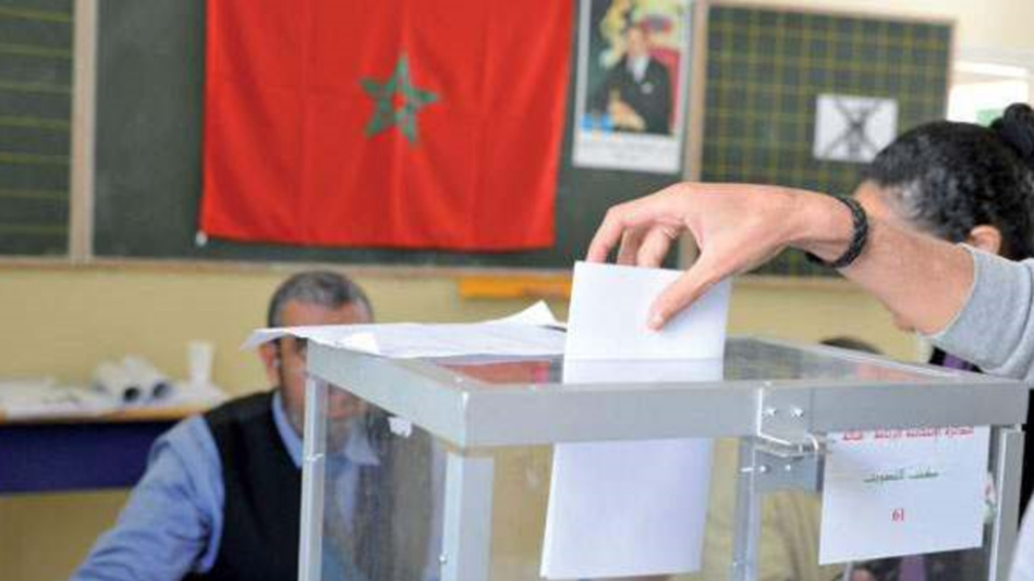 إشادة بقرار الاقتصار على البطاقة الوطنية للتصويت في الانتخابات المقبلة