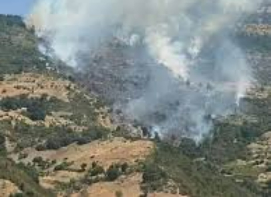 بعد حريق شفشاون.. فرق المطافئ تسيطر على حريق الريف بعد حريق شفشاون.. فرق المطافئ تسيطر على حريق الريف