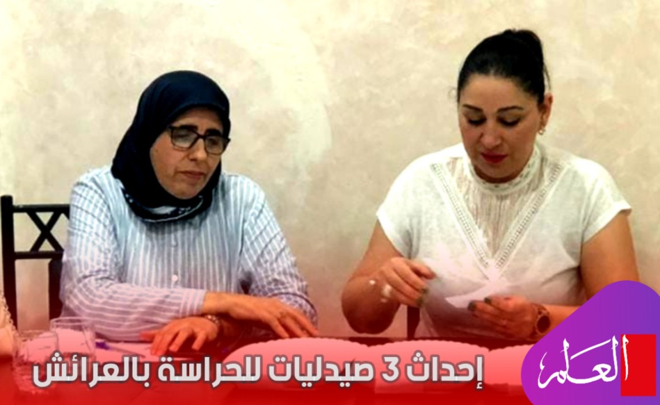 نقابة صيادلة العرائش تصادق على إحداث 3 صيدليات حراسة نقابة صيادلة العرائش تصادق على إحداث 3 صيدليات حراسة