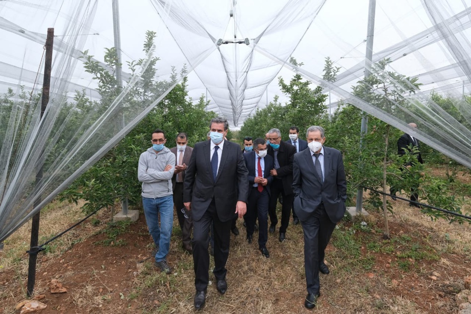 وزارة الفلاحة تحدد الشباك الواقية لحماية الأشجار المثمرة وزارة الفلاحة تحدد الشباك الواقية لحماية الأشجار المثمرة