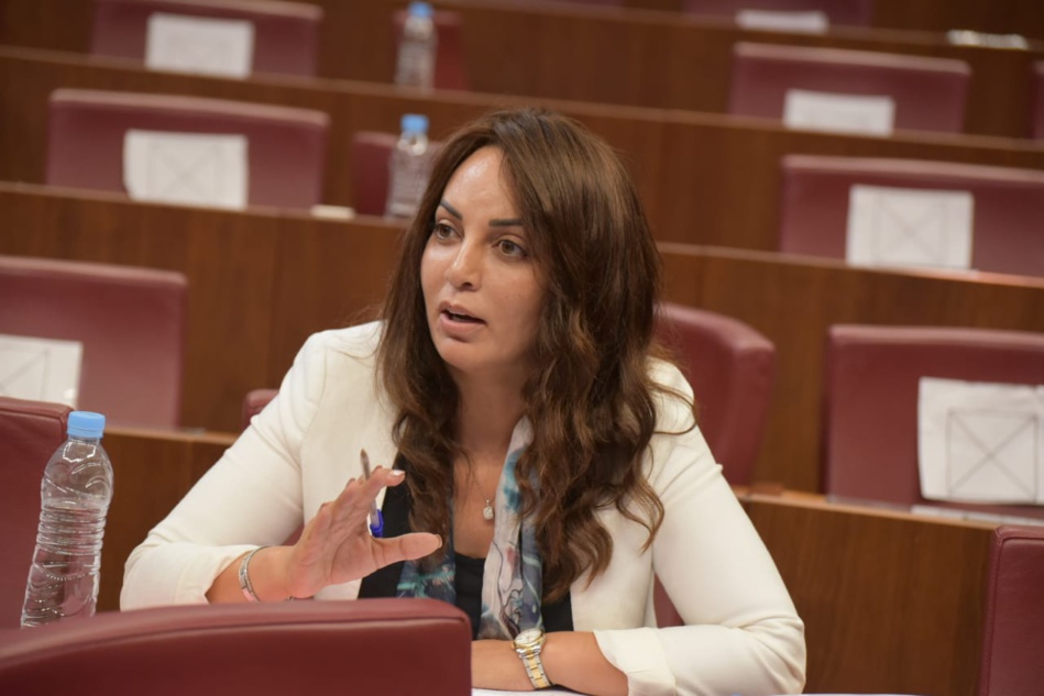 مديحة خيير تطالب بتسوية الاختلالات بين الشركات الكبرى والمقاولات الصغرى والمتوسطة مديحة خيير تطالب بتسوية الاختلالات بين الشركات الكبرى والمقاولات الصغرى والمتوسطة