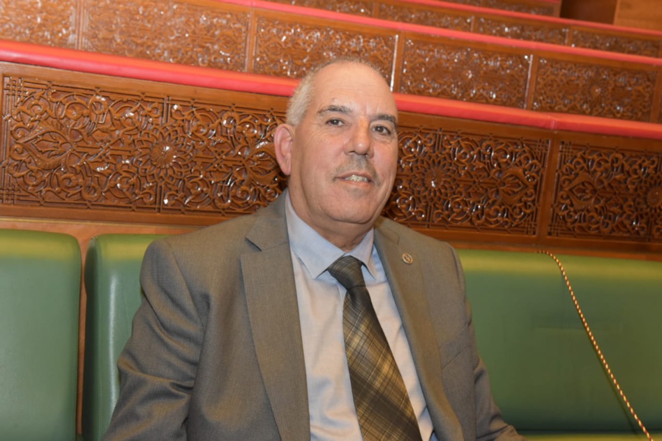 المستشار البرلماني محمد حلمي المستشار البرلماني محمد حلمي
