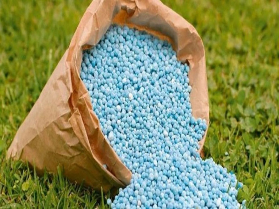 ارتفاع صاروخي في مواد الأسمدة الفلاحية ارتفاع صاروخي في مواد الأسمدة الفلاحية