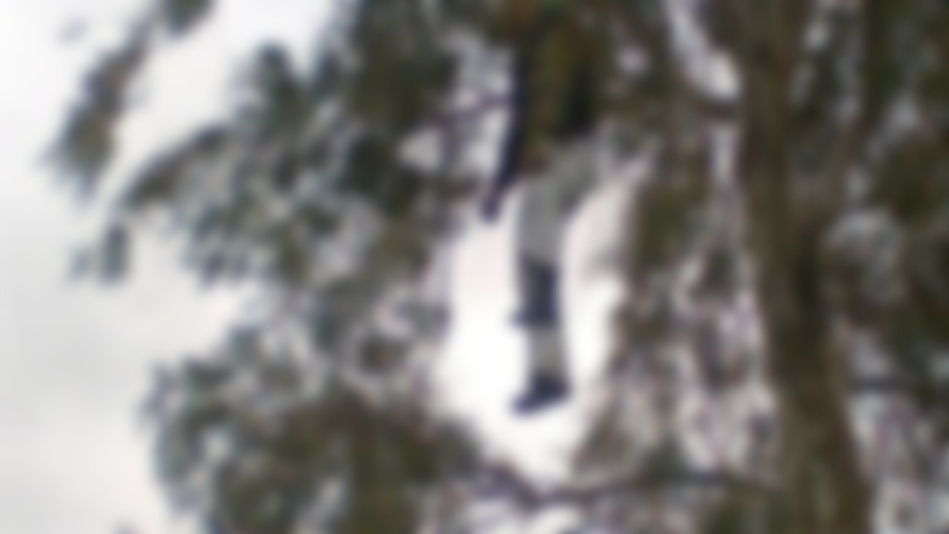 العثور على جثة معلقة بشجرة في خريبكة العثور على جثة معلقة بشجرة في خريبكة