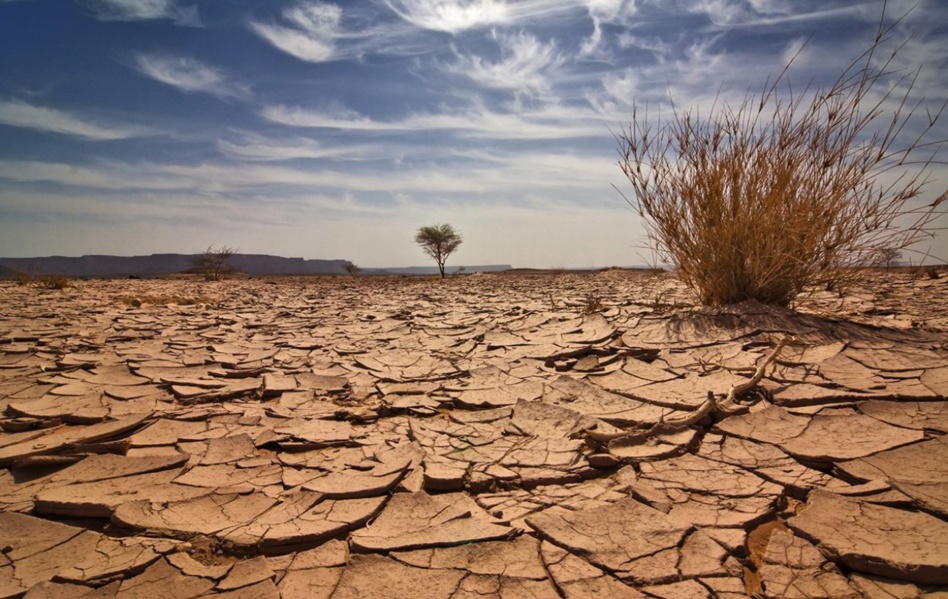 توقعات مرعبة عن الاحترار المناخي طيلة السنوات العشرة القادمة توقعات مرعبة عن الاحترار المناخي طيلة السنوات العشرة القادمة