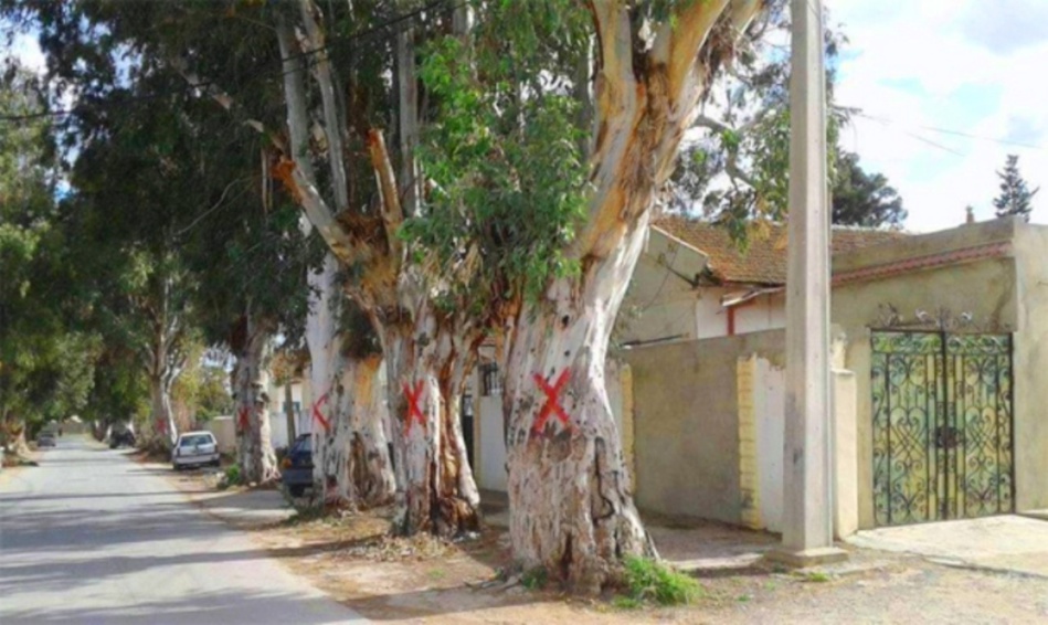 جريمة ضد البيئة تستنفر عناصر الشرطة القضائية بمدينة آسفي جريمة ضد البيئة تستنفر عناصر الشرطة القضائية بمدينة آسفي