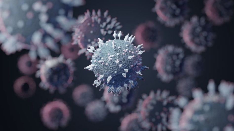 خطير.. النسخة الثانية من أوميكرون أكثر عدوى خطير.. النسخة الثانية من أوميكرون أكثر عدوى