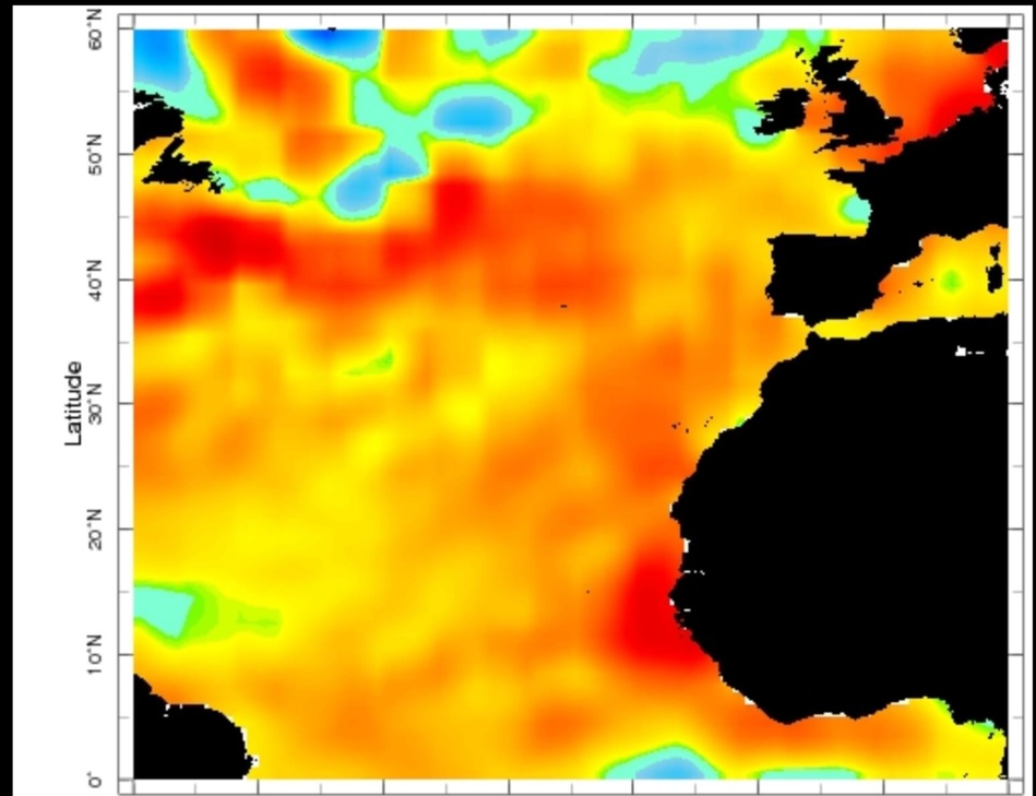 الشكل 3 : وضعية SST في 2022/02/09 (NOAA/NCEP/LDEO) الشكل 3 : وضعية SST في 2022/02/09 (NOAA/NCEP/LDEO)