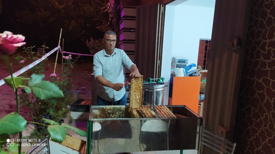 القلق عارم في أوساط مربي النحل والمطلب الملح توفير الدواء القلق عارم في أوساط مربي النحل والمطلب الملح توفير الدواء