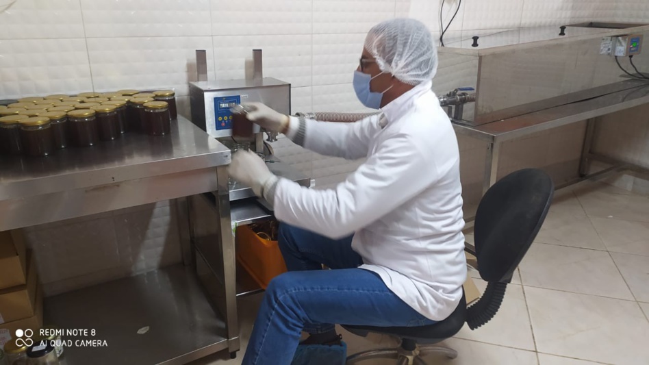 القلق عارم في أوساط مربي النحل والمطلب الملح توفير الدواء القلق عارم في أوساط مربي النحل والمطلب الملح توفير الدواء