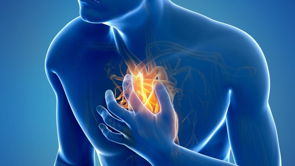 حملة تحسيسية بخطورة الحمى الروماتيزمية ومضاعفاتها على القلب حملة تحسيسية بخطورة الحمى الروماتيزمية ومضاعفاتها على القلب