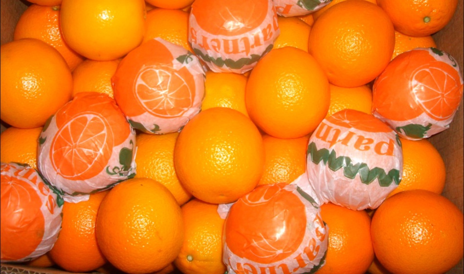ONSSA ترد على منع دخول البرتقال المغربي الأسواق الهولندية