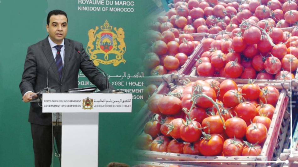 أسعار‭ ‬الطماطم‭  ‬تواصل‭ ‬الارتفاع‭ ‬وحديث‭ ‬عن‭ ‬تخفيض‭ ‬الصادرات‭
