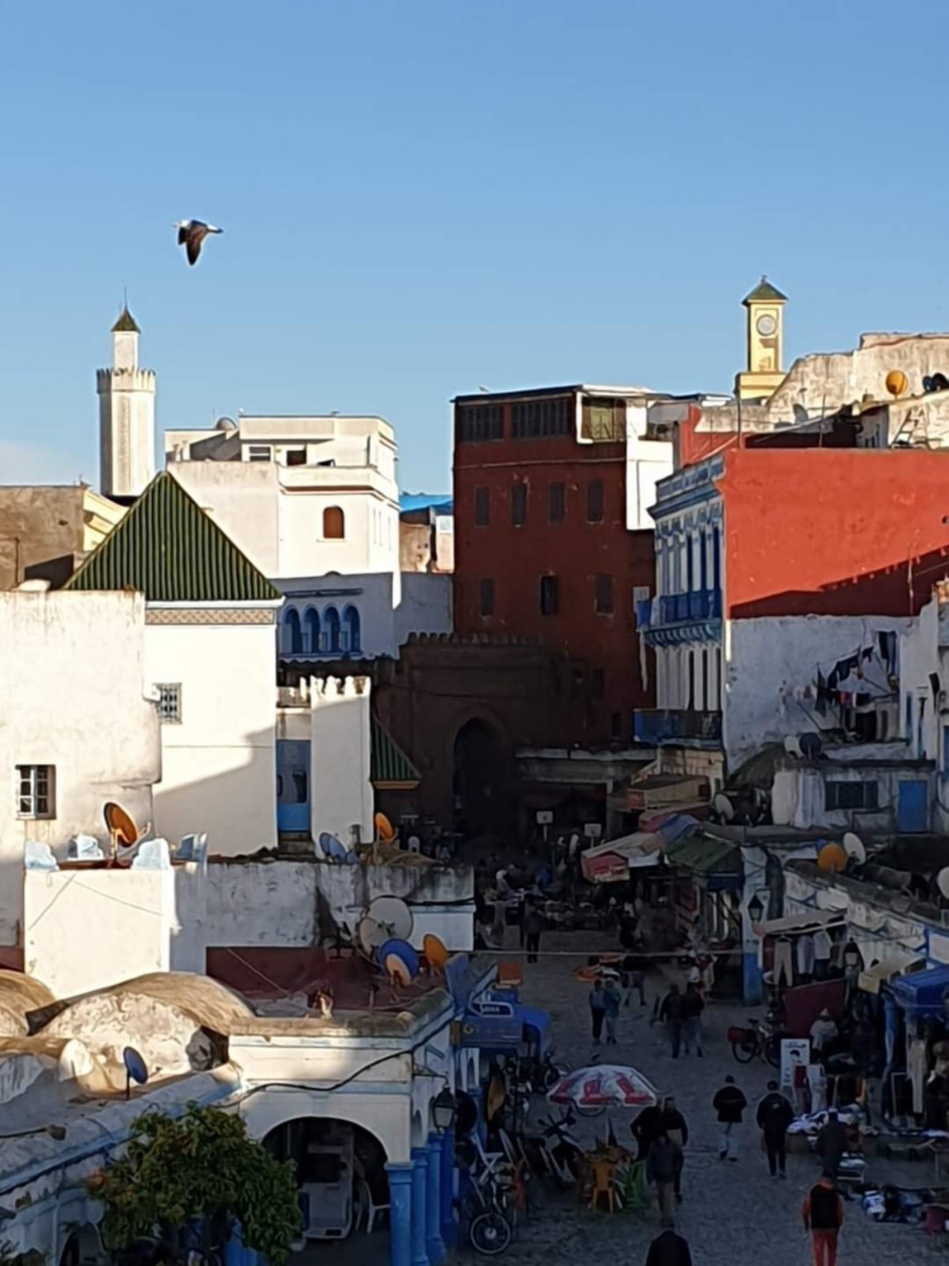 العرائش: اكتشاف ما تزخر به من مؤهلات جغرافية و حضارية العرائش: اكتشاف ما تزخر به من مؤهلات جغرافية و حضارية