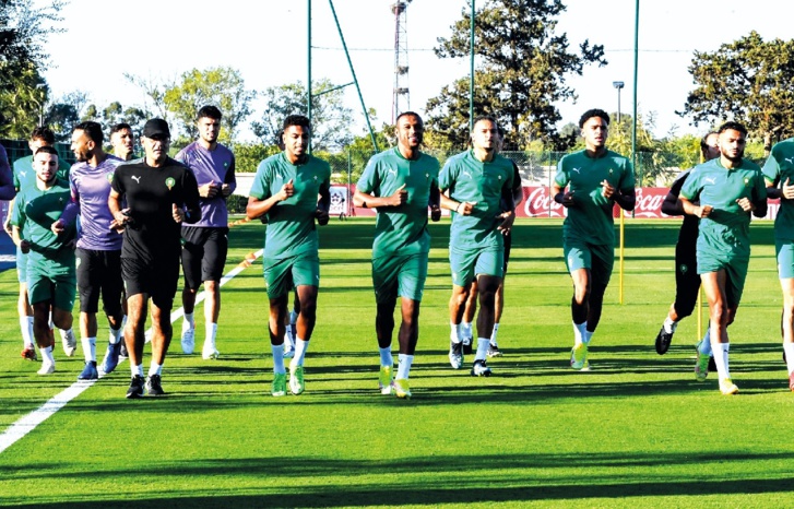 الأسود تبدأ تحضيراتها لموقعة الكونغو المصيرية الأسود تبدأ تحضيراتها لموقعة الكونغو المصيرية