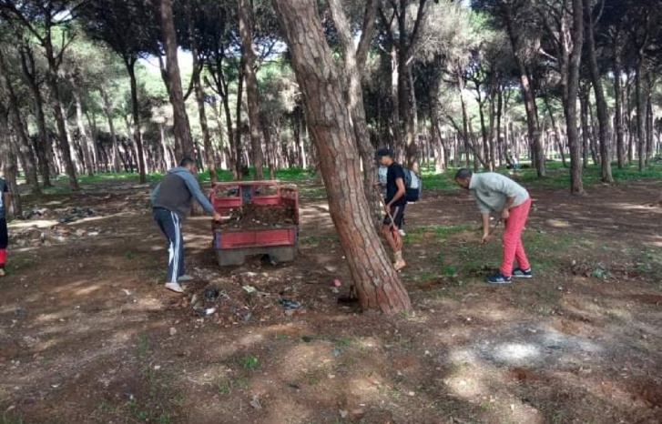 غابة لايبيكا ذاكرة وتراث طبيعي يحتضر غابة لايبيكا ذاكرة وتراث طبيعي يحتضر