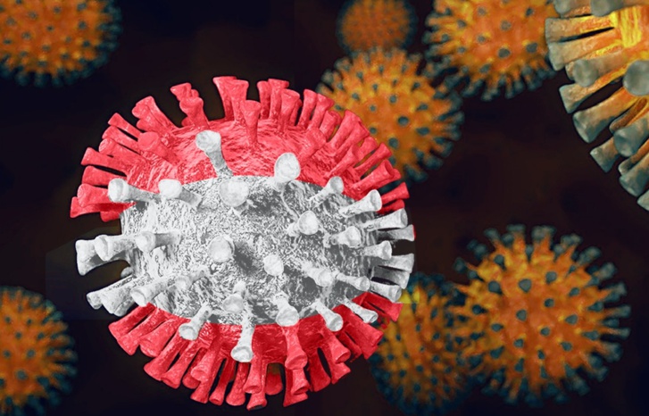 عاجل وهام: ظهور سلالتين جديدتين من أوميكرون عاجل وهام: ظهور سلالتين جديدتين من أوميكرون