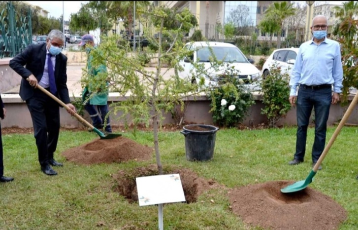 وجدة تحتفي باليوم العالمي لشجرة الأرغان وجدة تحتفي باليوم العالمي لشجرة الأرغان