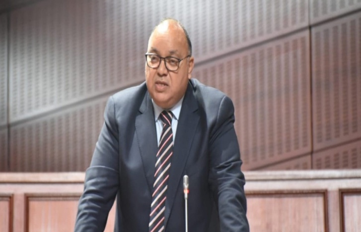 النائب البرلماني محمد الحافظ