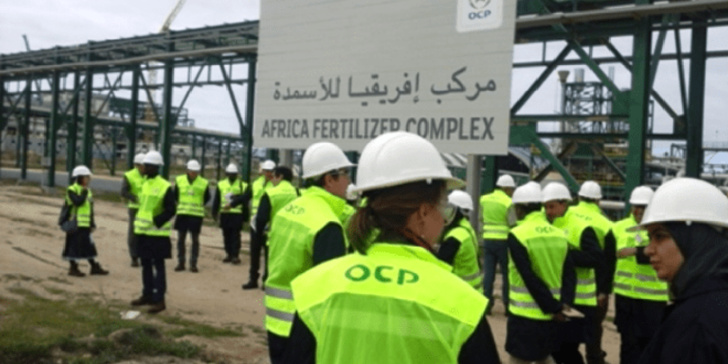 المجمع الشريف للفوسفاط يكشف عن أرباحه القياسية خلال الربع الأول من سنة 2022 المجمع الشريف للفوسفاط يكشف عن أرباحه القياسية خلال الربع الأول من سنة 2022