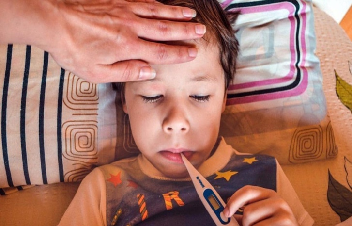 أنفلوانزا الطماطم.. قلق في الهند بعد ظهور فيروس جديد أنفلوانزا الطماطم.. قلق في الهند بعد ظهور فيروس جديد