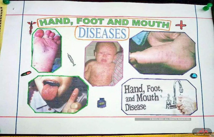 أنفلوانزا الطماطم.. قلق في الهند بعد ظهور فيروس جديد أنفلوانزا الطماطم.. قلق في الهند بعد ظهور فيروس جديد