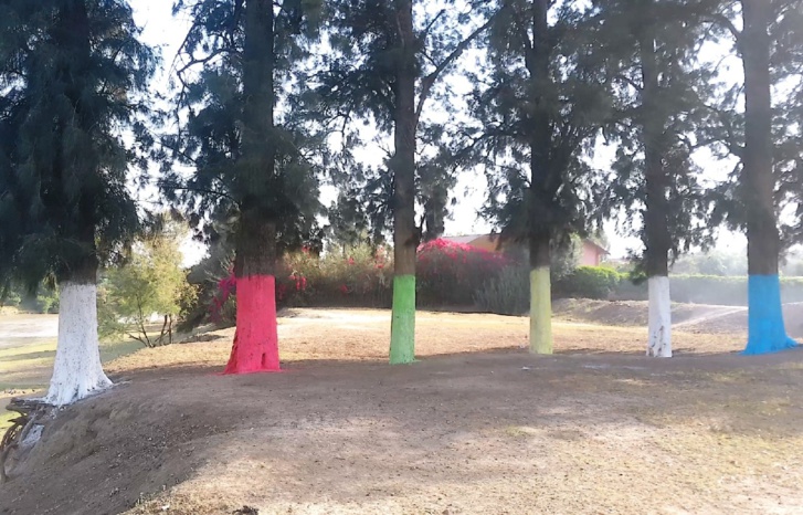 برنامج أوراش تنقية وتهيئة جنبات واد سبو برنامج أوراش تنقية وتهيئة جنبات واد سبو