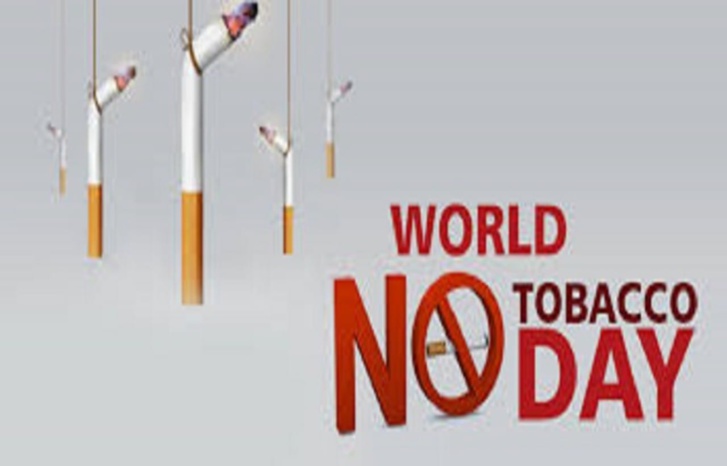 وزارة الصحة المغربية تحتفل باليوم العالمي للامتناع عن التدخين وتطلق الحملة الوطنية للتوعية بالآثار الضارة له وزارة الصحة المغربية تحتفل باليوم العالمي للامتناع عن التدخين وتطلق الحملة الوطنية للتوعية بالآثار الضارة له