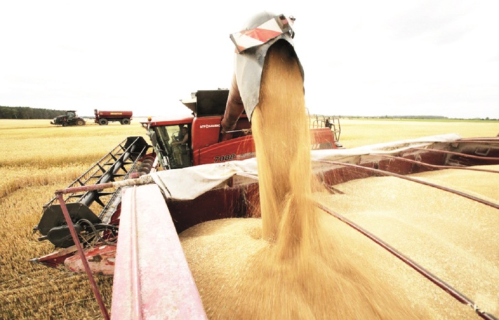 الفوسفاط المغربي في مواجهة تقلبات الأسعار التي تهدد إفريقيا بالمجاعة الفوسفاط المغربي في مواجهة تقلبات الأسعار التي تهدد إفريقيا بالمجاعة