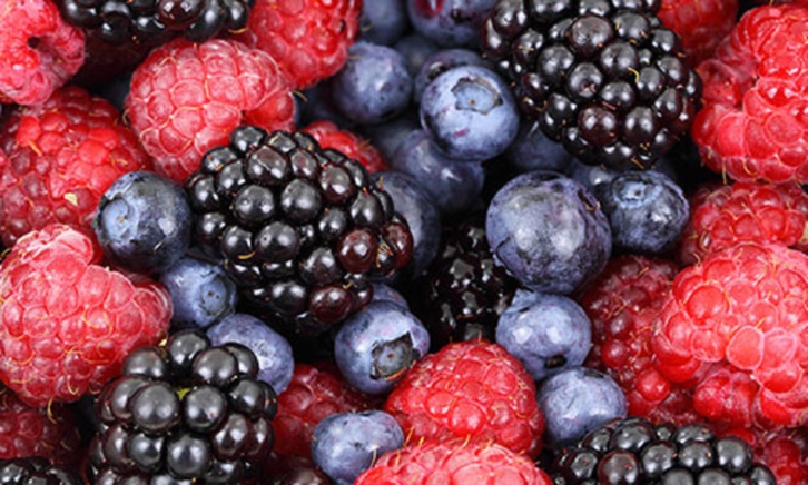 ضمنها الطماطم.. أكثر الفواكه الصيفية قيمة غذائية ضمنها الطماطم.. أكثر الفواكه الصيفية قيمة غذائية