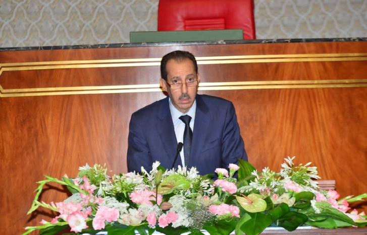 توصيات دولية من أجل إصدار دليل لبدائل العقوبات السالبة للحرية توصيات دولية من أجل إصدار دليل لبدائل العقوبات السالبة للحرية